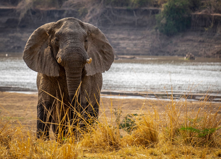 Warm Heart Of Africa Tour 2019 PART 2